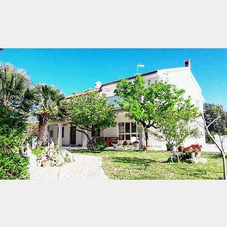 Apartman Miljenko - Matovica 캄포르 외부 사진